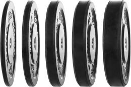 Lifeline Fitness Rubber Olympic Bumper Plates 45LB