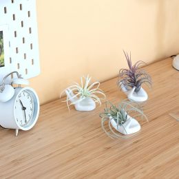 Dahey Air Plant Holder Cute Ceramic Mini Hand Shape Stand Airplants Tillandsia Small Container Pot Ceramic, Bundle of 3