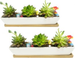 WISH HALLY WOOD White Ceramic Succulent Planter Pots Ceramic 11inch, Bundle of 2