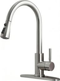 RICINUN Kitchen Faucet with Pull Down Sprayer Stainless Steel