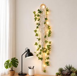 ZYApril Macrame Wall Plant Hanger, Bundle of 2
