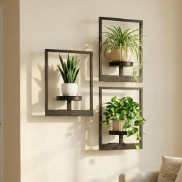 bbteroiu Picture Frame Wall Planters Set of Metal Set of 3