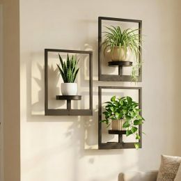 bbteroiu Picture Frame Wall Planters Set of Metal Set of 3, Bundle of 2
