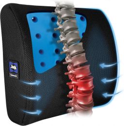 Sealy Lumbar Support Pillow with