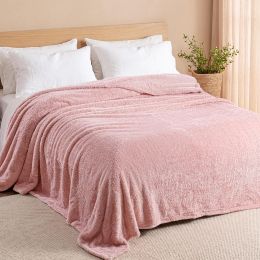 Exclusivo Mezcla Fuzzy Plush Fleece Bed Blanket Queen