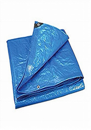 20 ft. x 30 ft. Blue Tarpaulin (Each)