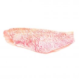 Rainforest Frozen Red Snapper Fillet, Bag  908 g / 2 lb