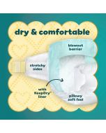 Pampers Baby Diapers 19 Count, Bundle of 2