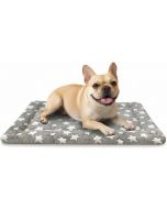 COMPAWNY Dog Bed Mat 16 Inch, 24 x 16 Inch, Bundle of 2