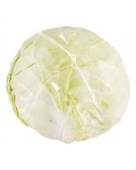 Green Cabbage 1.3 kg / 2.9 lb