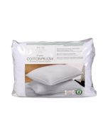 Selection Organic 300 Thread Count Pillows with 100% Cotton Cover 2 Units / 50 cm x 71 cm / 20" x 28"