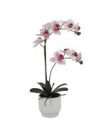 Selection Artificial Orchid in Ceramic Pot