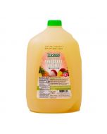 Tru-Juice Pineapple Lychee Juice 3.78 L / 1 gal