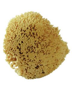 Acme The Natural Delicate, Light Duty Sponge For All Purpose 7 in. L 1 pk
