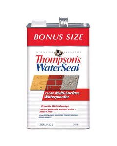 Thompson's WaterSeal Clear Water-Based Multi-Surface Waterproofer 1.2 gal