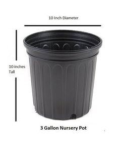 GARDEN. FLOWER POT 10"