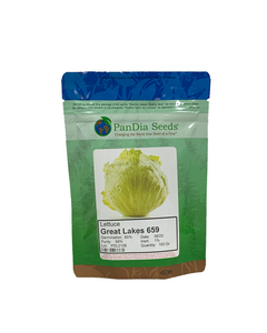 Pandia Great Lakes Lettuce Seeds  100gr