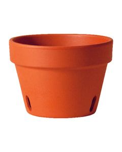 Deroma 3.8 in. H X 5.1 in. D Clay Orchid Planter Terracotta