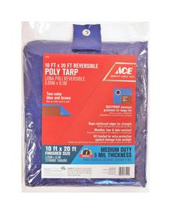 TARP POLY BLUE 10X20'