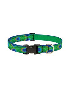 Lupine Pet Original Designs Multicolor Tail Feathers Nylon Dog Adjustable Collar