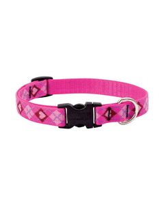 Lupine Pet Original Designs Multicolor Puppy Love Nylon Dog Adjustable Collar