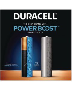 DURACELL CopperTop Alkaline Batteries with Duralock Power Preserve Technology, Bundle of 2