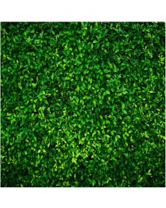 ZZBYSM 8X8FT Green Leaf Backdrop Birthday Party Studio Baby