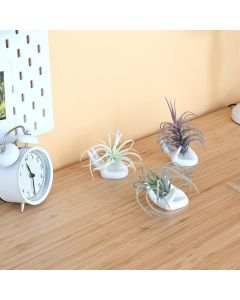 Dahey Air Plant Holder Cute Ceramic Mini Hand Shape Stand Airplants Tillandsia Small Container Pot Ceramic, Bundle of 3