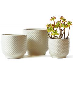 Homephyte 4 + 5 + 6 Inch Ceramic Pots for Ceramic Set of 3, 6 Inch, 4 + 5 + 6 Inch