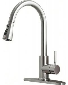 RICINUN Kitchen Faucet with Pull Down Sprayer Stainless Steel
