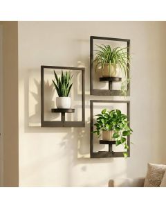 bbteroiu Picture Frame Wall Planters Set of Metal Set of 3, Bundle of 2