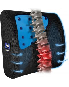 Sealy Lumbar Support Pillow with
