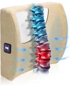 Sealy – Orthopedic Back Pillow for, Bundle of 2