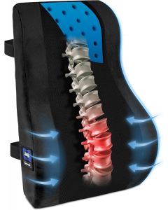 Sealy High Back Memory Foam Lumbar Support Pillow for