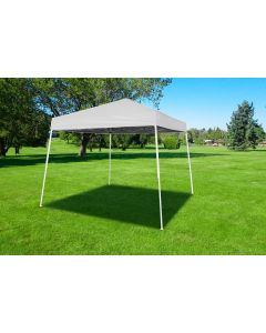 IMPACT Canopy 040000001 Slant Leg Canopy