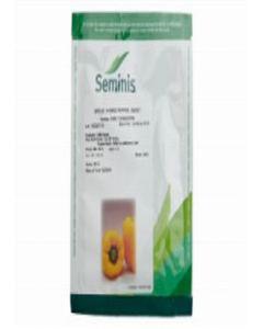 Early Sunsation Hybrid Sweetpepper (1000 Seeds ) (Each)