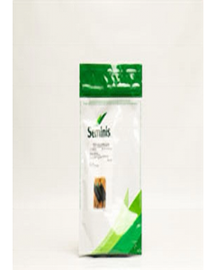 Thunder Hybrid Cucumber (3000 seeds) (Each)