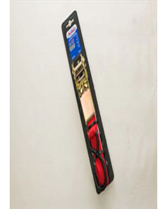 1 in. X 10 ft. Ratchet Tie Down (Each)