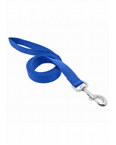 Blue 6 ft. Leash (Each)