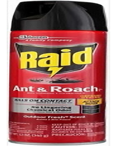 12 oz. Ant And Roach Aerosol (Each)