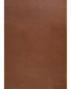 36 in. X 80 in. Brown Hardboard Interior Door (Each)