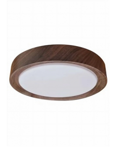 LED Ceiling Light Fixture (Each)