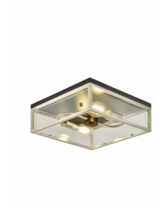 Ceiling Light Fixture (Each)