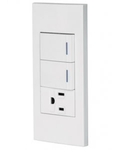Combination Rectangular Switch And Receptacle 3 Pin Outlet (Each)