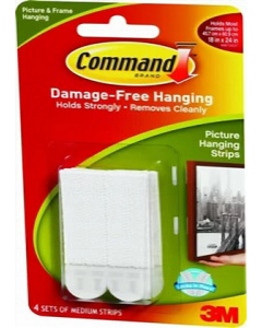 Medium Picture Hanger (Each)