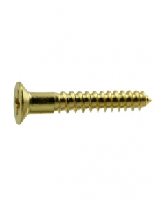 #10 X 2 in. Metal Countersunk Wood Screw 1 pc. (Each)