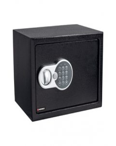 Electronic Safe (Each)