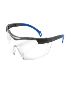 Clear Lens Gray/Black Safety Glasses (Each)