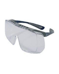Clear Lens Gray/Blue Safety Goggles (Each)
