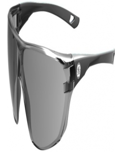 Clear Lens Gray Safety Glasses (Each)